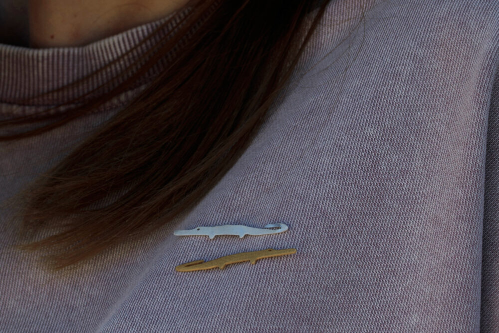 Sir Croco